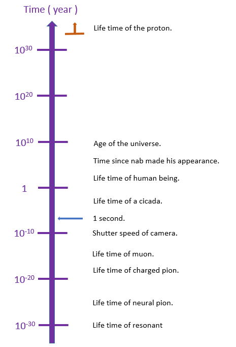 Time scale of several phenomena.